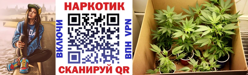 Виды наркотиков купить Учалы АМФ Конопля Alpha PVP МЕФ Гашиш