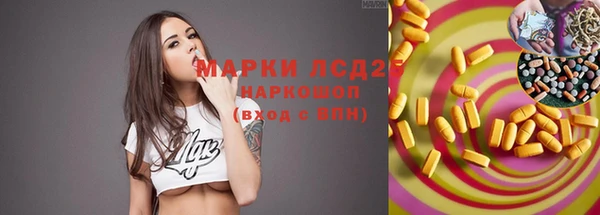 хмурый Заводоуковск