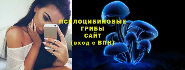 спиды Абаза